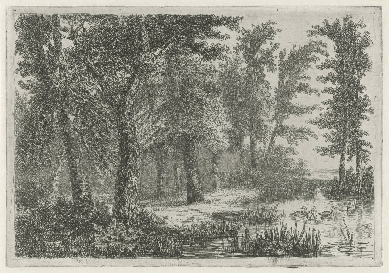 Forest Scene with a Pond with Ducks by Hermanus Jan Hendrik van Rijkelijkhuysen