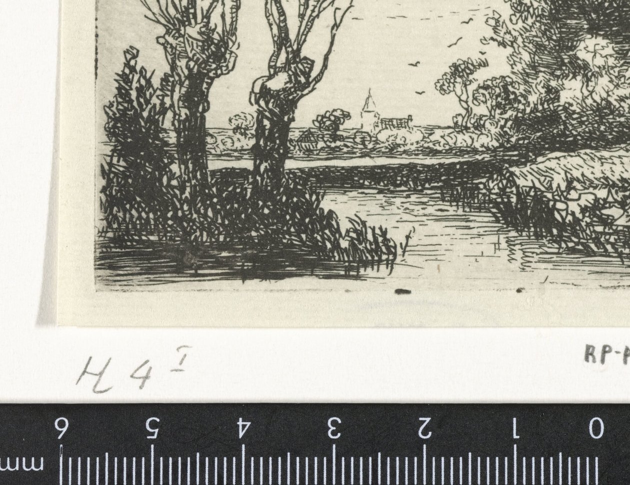 Landscape with Two Pollard Willows by Hermanus Jan Hendrik van Rijkelijkhuysen