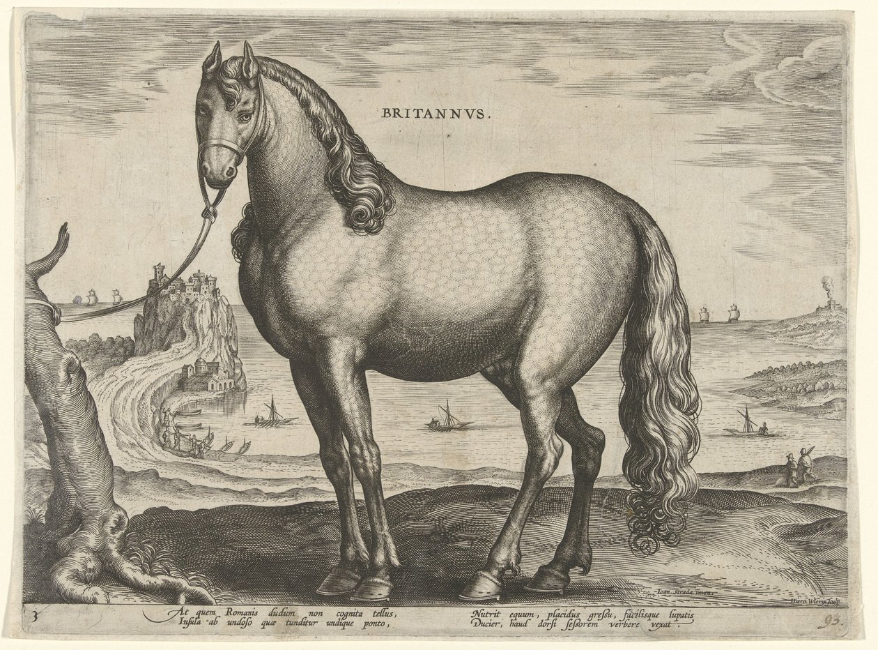 Horse from Brittany by Hieronymus Wierix