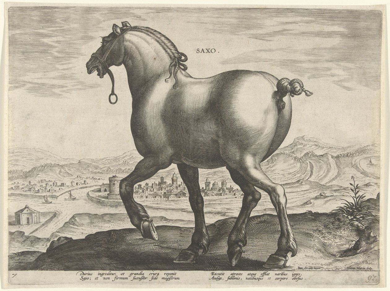 Horse from Saxony by Hieronymus Wierix