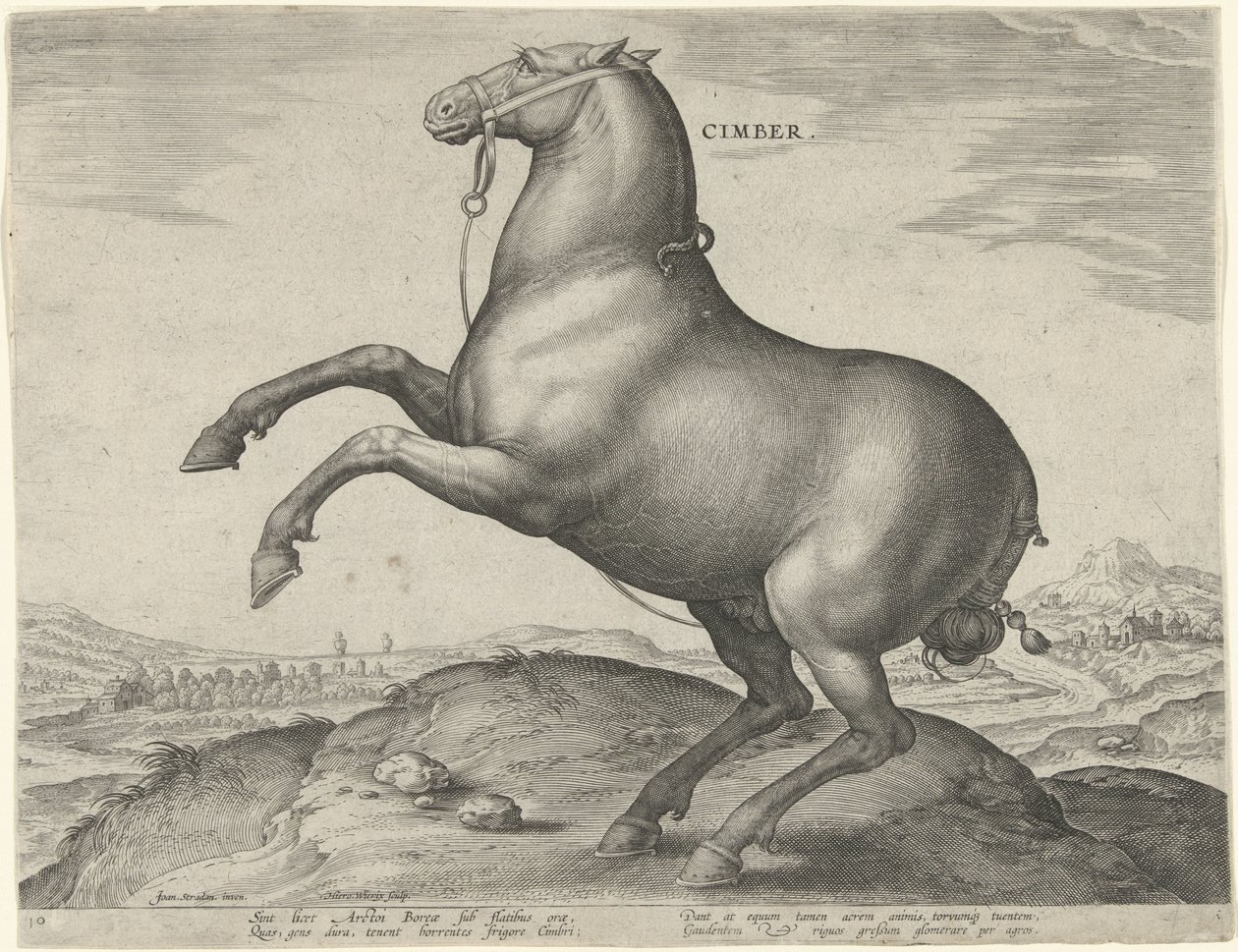Horse from Scythia by Hieronymus Wierix
