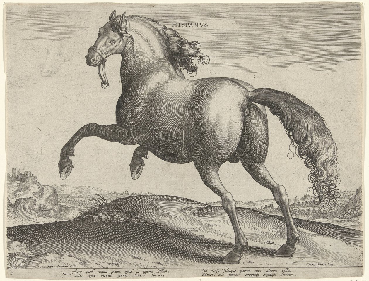 Horse from Spain (Hispanus Alter) by Hieronymus Wierix