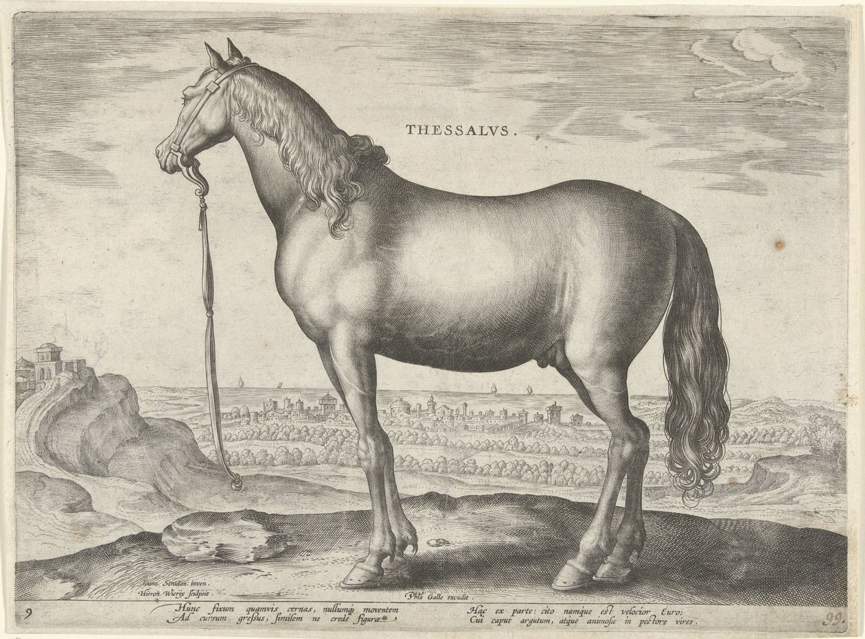 Horse from Thessaly by Hieronymus Wierix