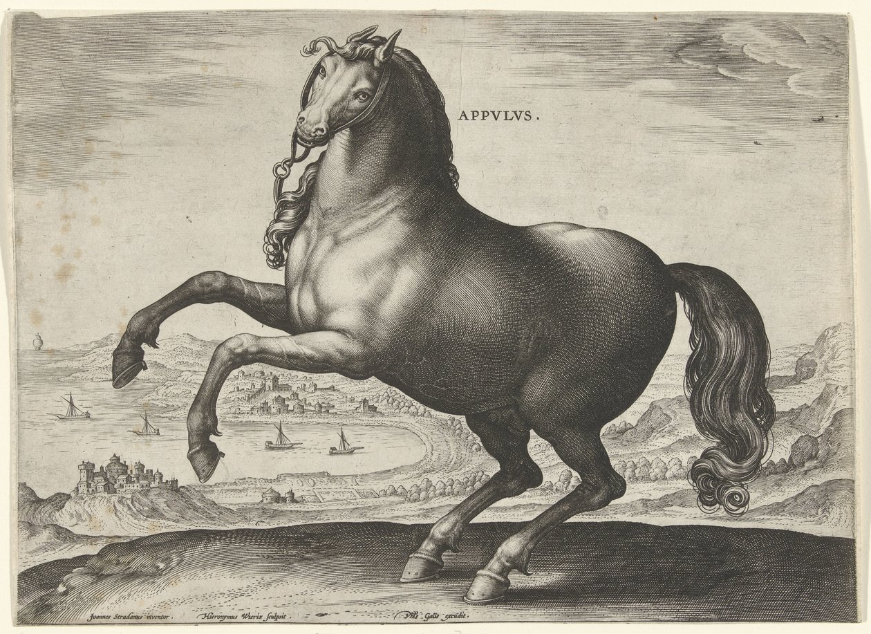 Horse from Southern Italy (Appulus) by Hieronymus Wierix