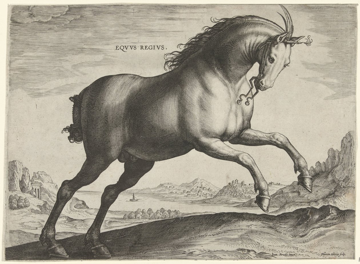Horse of the Equus Regius Breed by Hieronymus Wierix