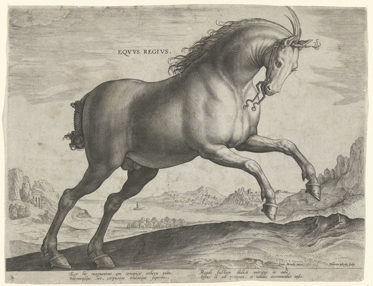 Horse of the Equus Regius Breed by Hieronymus Wierix