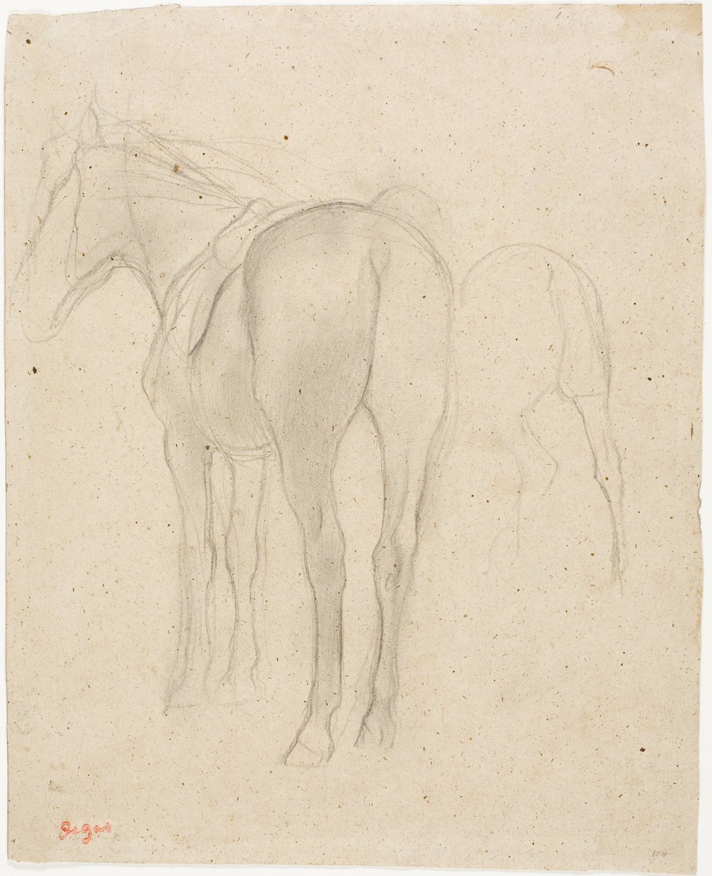Studies of a Horse by Hilaire Germain Edgar Degas