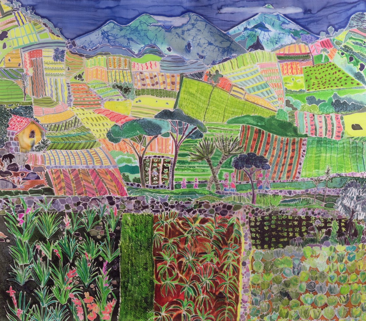Cabbages and Lillies Revisited, Guatemala, 2006 by Hilary Simon