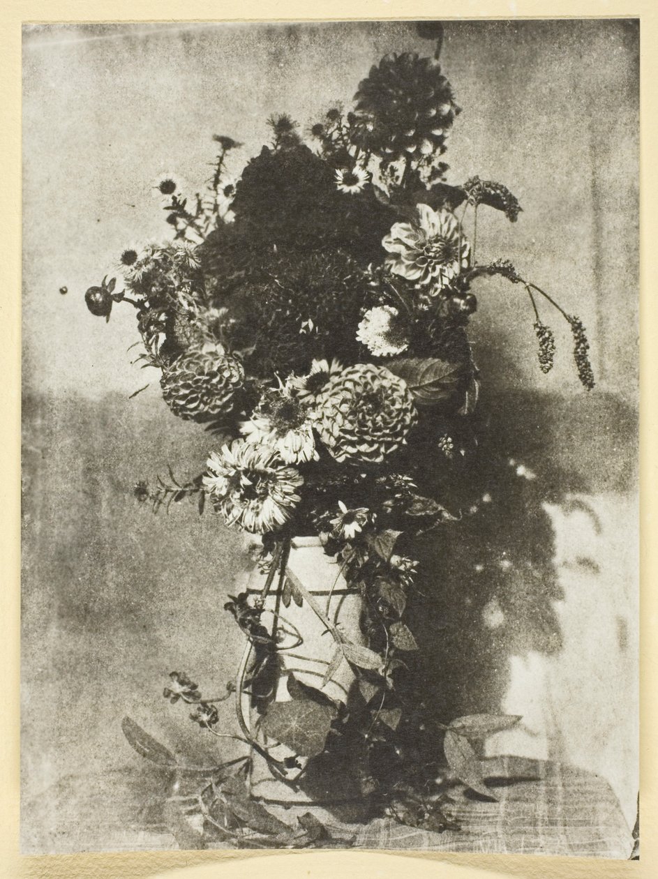 Bouquet of Flowers by Hippolyte Bayard
