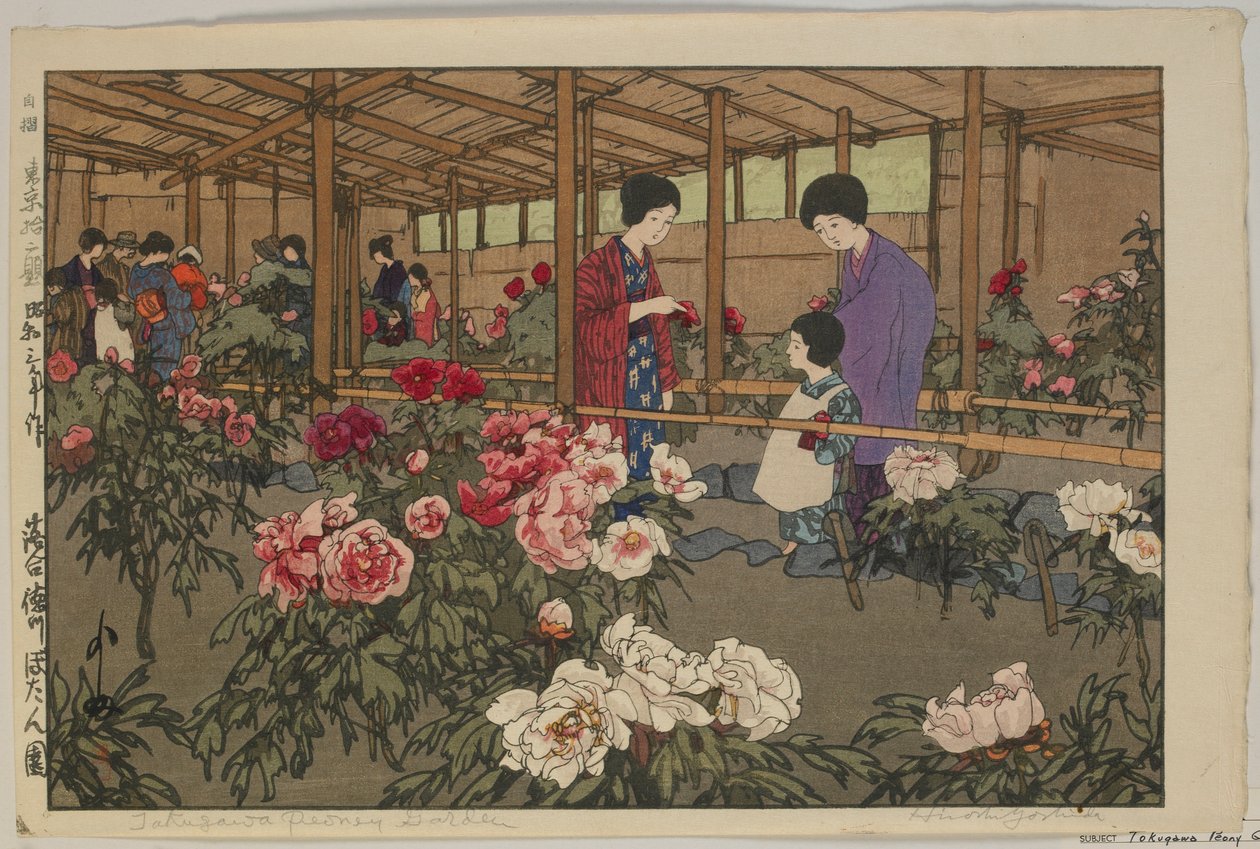 Tokugawa Peony Garden, from the series, Twelve Scenes of Tokyo, Showa era by Hiroshi Yoshida
