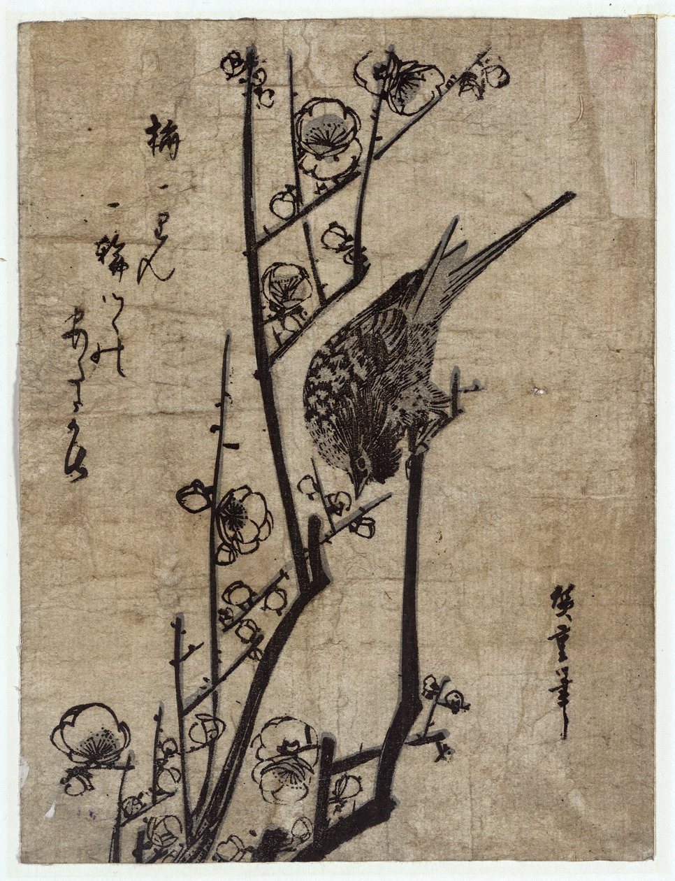 Plum Blossom and Bush Warbler by Utagawa Hiroshige