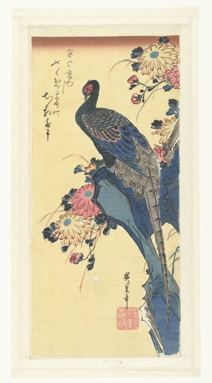 Pheasant and Chrysanthemums by Hiroshige (I) , Utagawa
