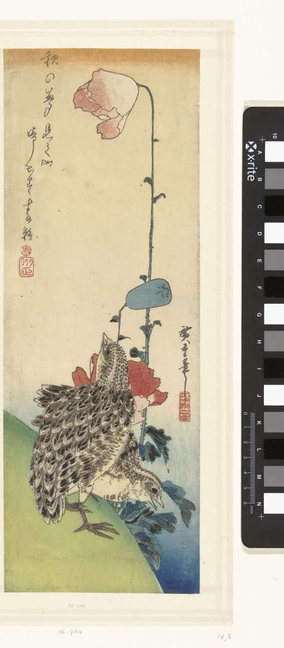 Quails and Poppies by Hiroshige (I) , Utagawa