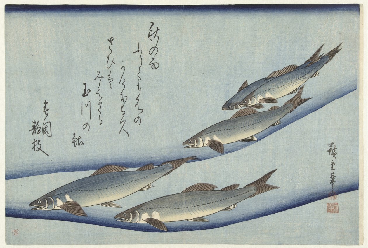Trout by Hiroshige (I) , Utagawa