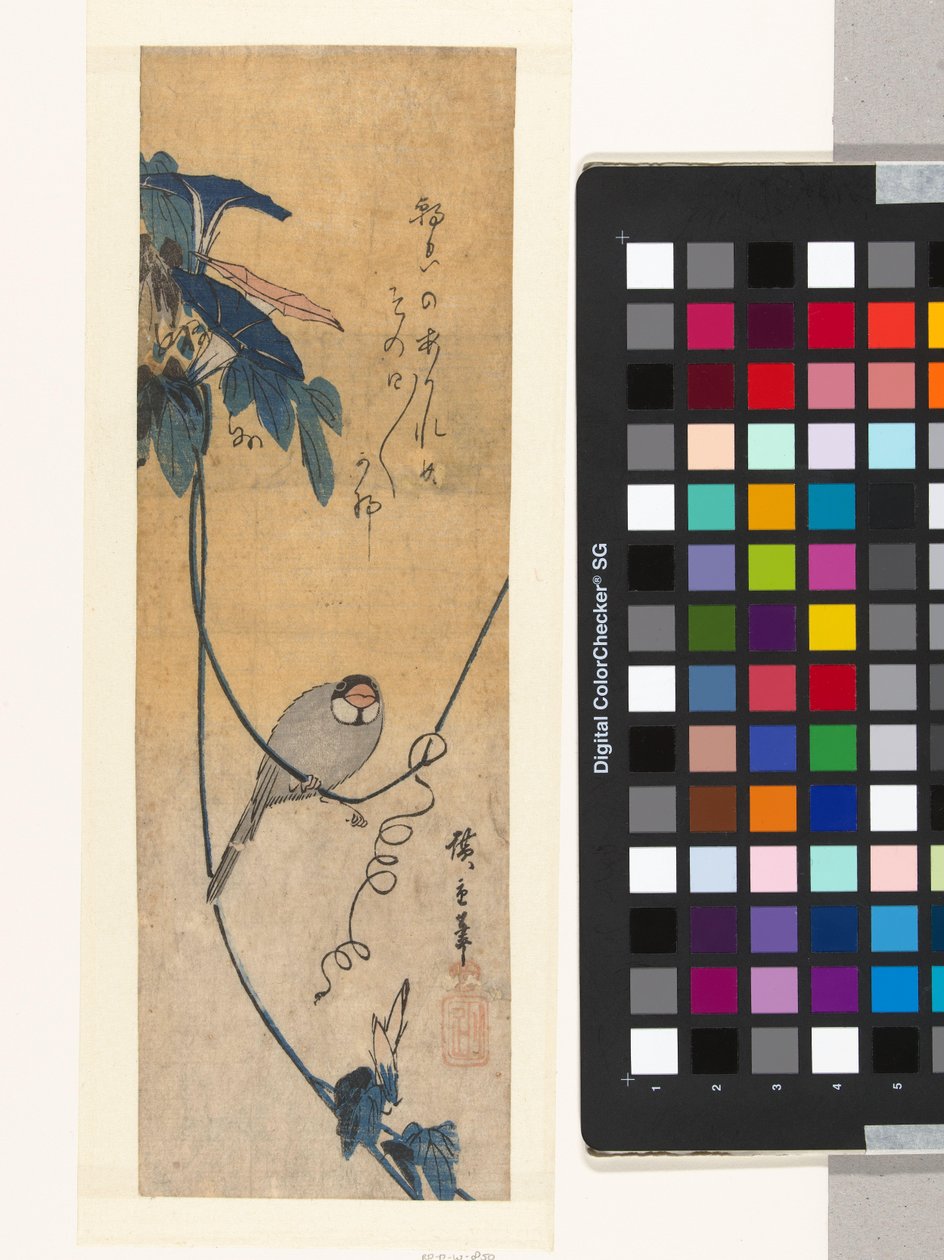 Bird and Blue Morning Glory by Hiroshige (I) , Utagawa