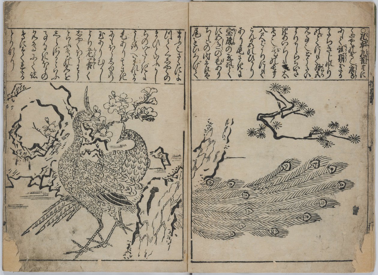 A Collection of Flowers and Birds by Hishikawa Moronobu