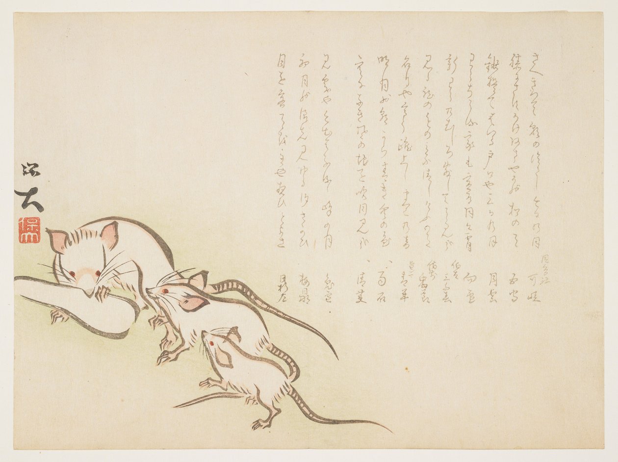 White Mice, January 1864 by Hodai