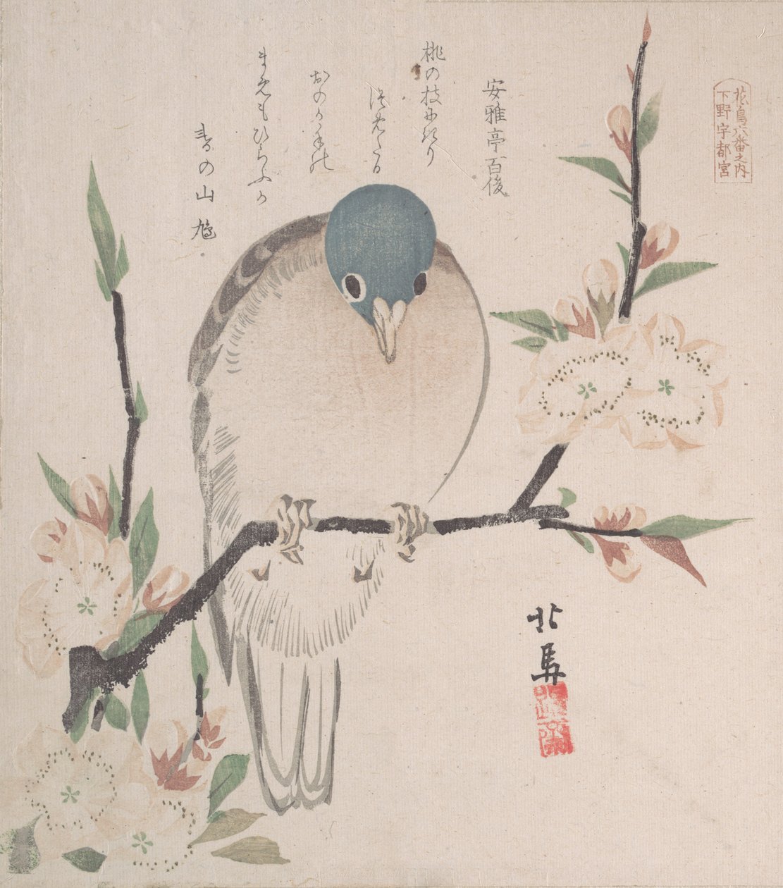Spring Rain Collection Harusame Shu, vol. 3: Mountain Dove and Peach Flowers by Hokuba