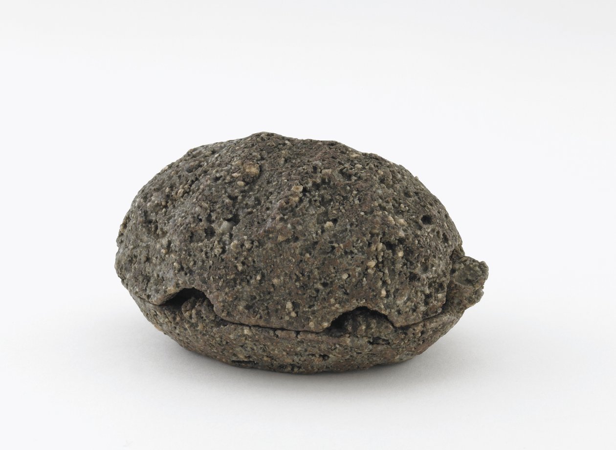Incense Box in the Shape of a Turtle, Kyoto, Edo period by Honami Koho