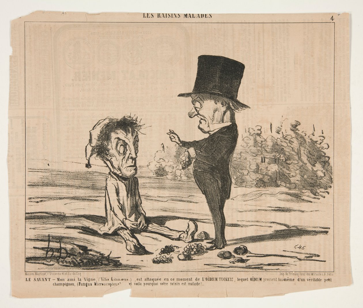 The Scholar - My friend, the Vine (Vitis Linnaeus), is currently attacked by Honoré Daumier