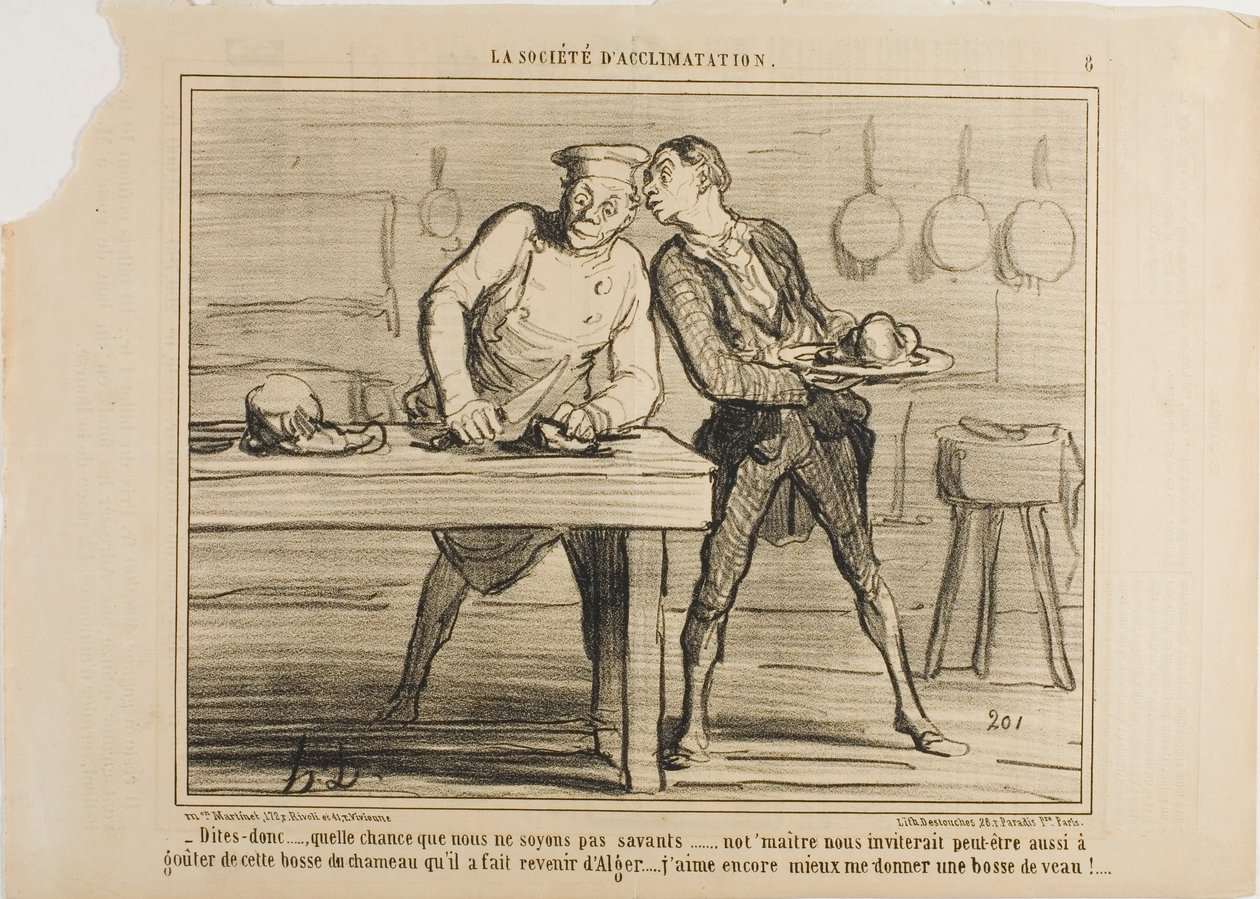 "- I am glad that we are not scientists, otherwise Monsieur would also invite us to taste this camel hump he ordered from Algeria… I
