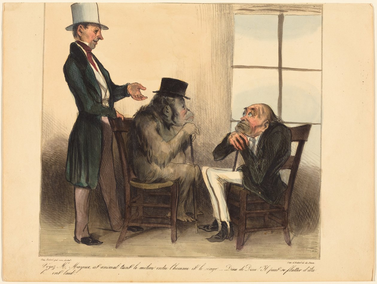 Look, Mr. Mayeux, this animal... by Honoré Daumier