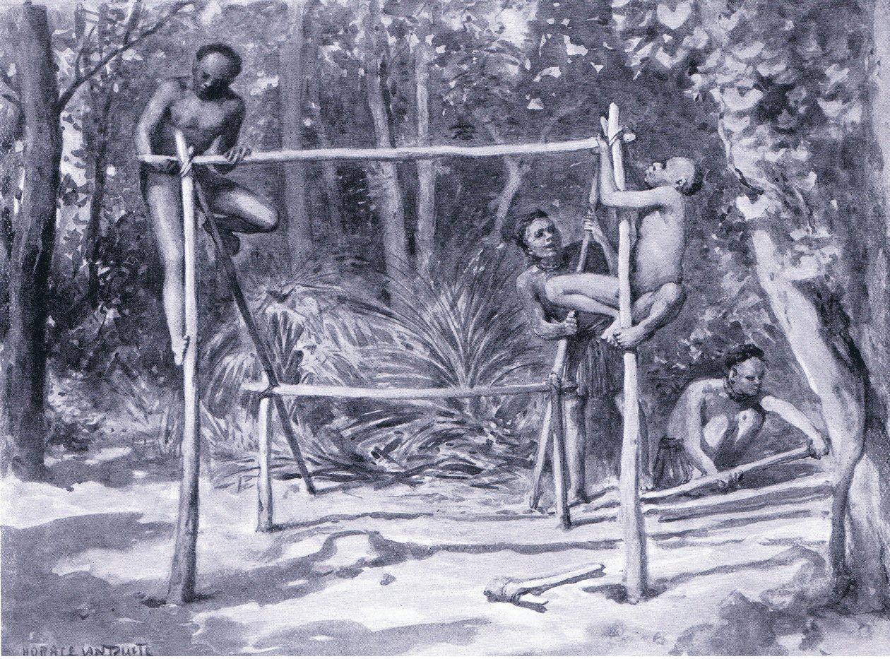 The dawn of life-building a home by Horace van Ruith