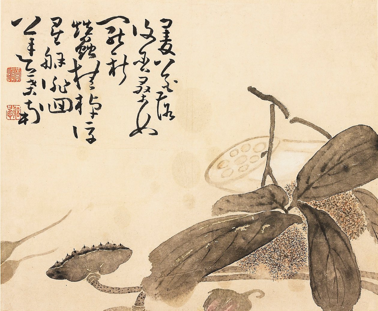 Painted album leaf - Lotus plant, 18th century by Huang Shen