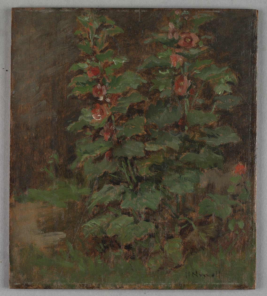 Flowers by Hugh Newell