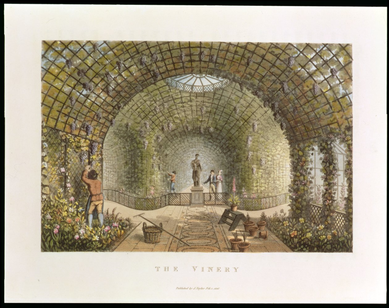 The Vinery, from 