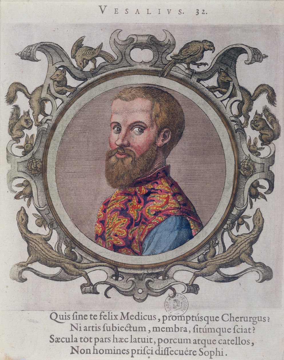 Portrait of Andreas Vesalius from Receuil des Portraits de Medecins by the Hungarian Doctor, Sambucus by Hungarian School