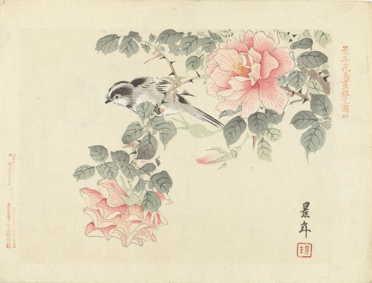Black and White Bird Among Pink Roses by Imao Keinen