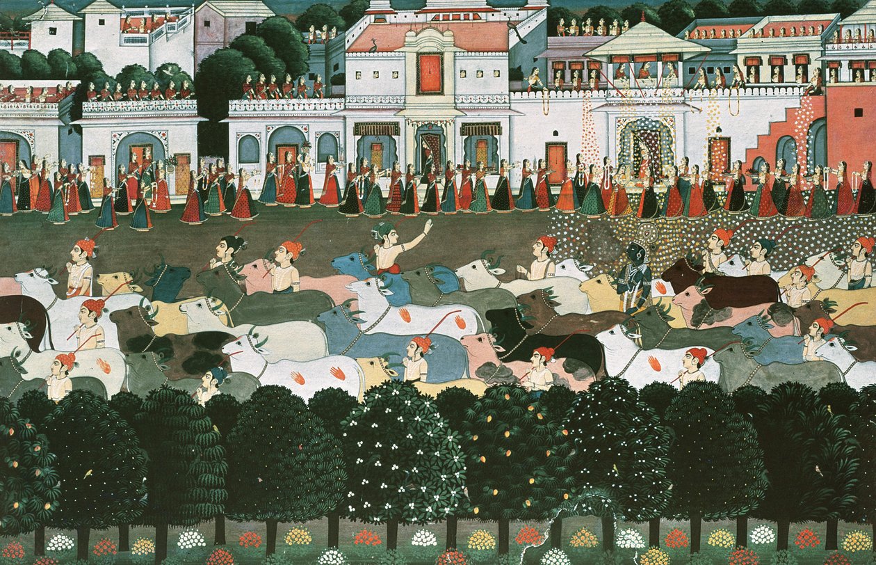 Returning to the Cowshed by Indian School