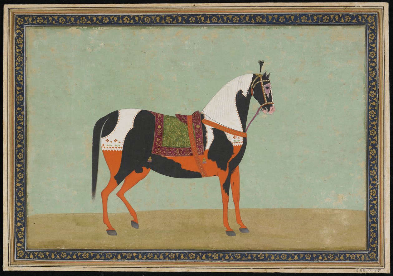 A Horse by Indian School