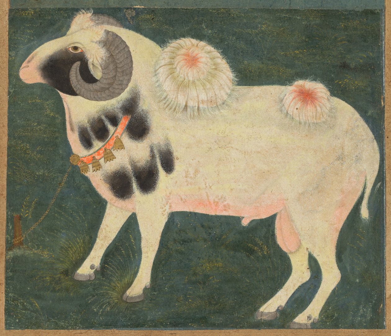 A Royal Ram with a Gold Chain, c. 1585 by Indian School