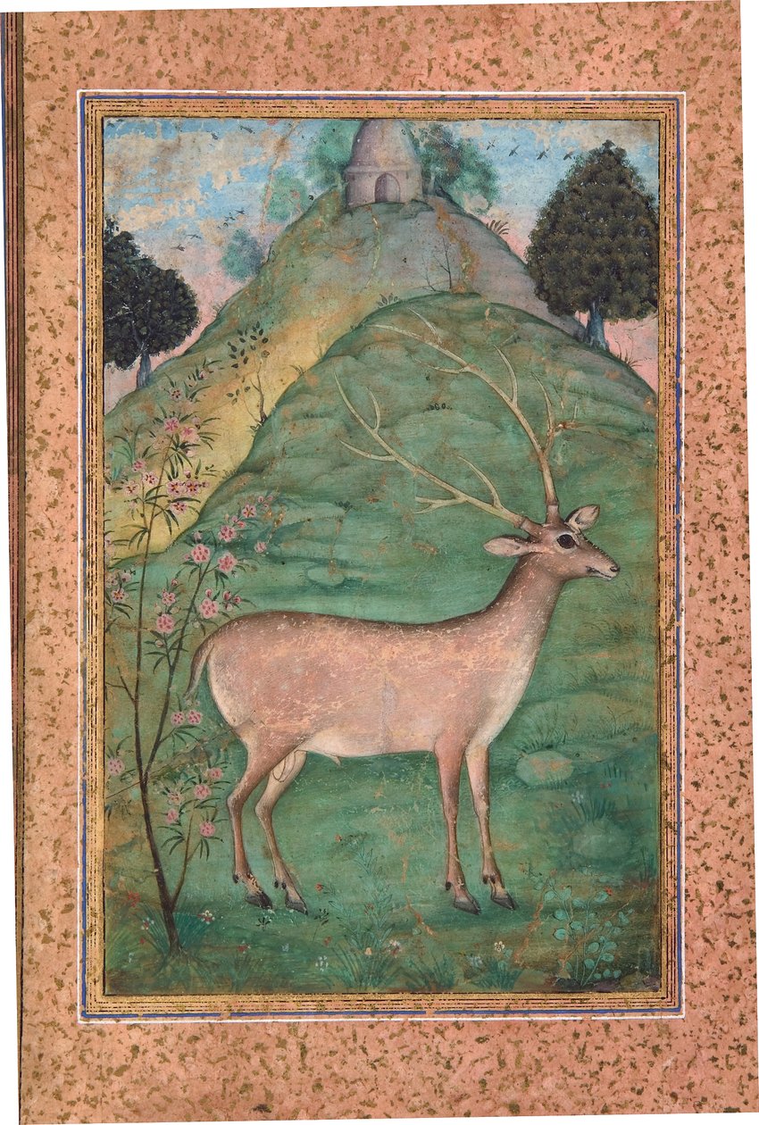 Buck in a Landscape by Indian School