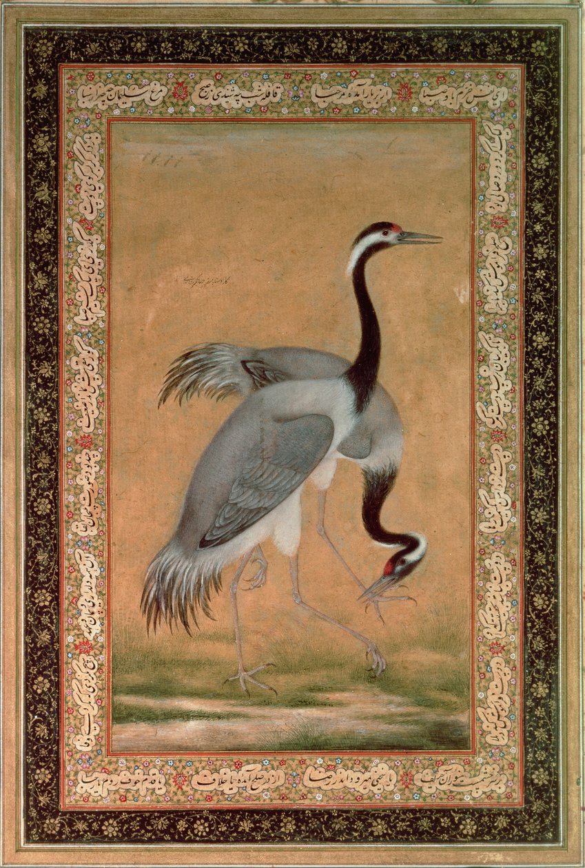 Cranes by Mansur, Jahangir Period, Mughal by Indian School