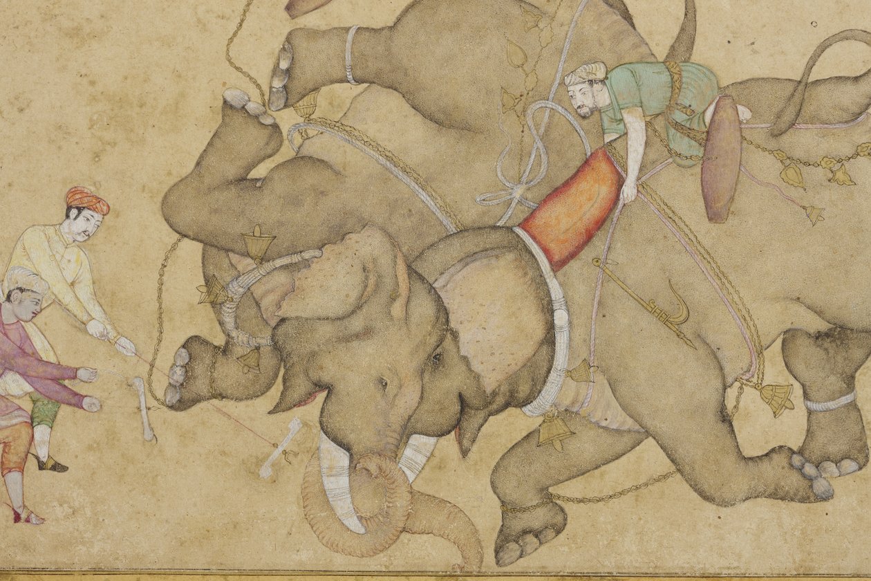 An elephant combat, with border floral arabesque (detail) by Indian School
