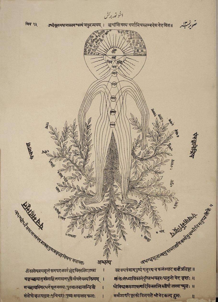 Diagram showing meridian points on the human body by Indian School