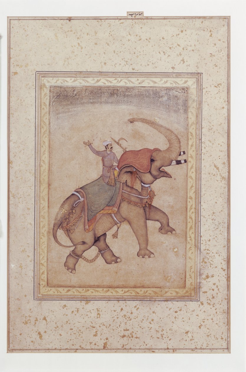 Elephant and Mahout (Elephant Driver), ca. 1595-1600 by Indian School