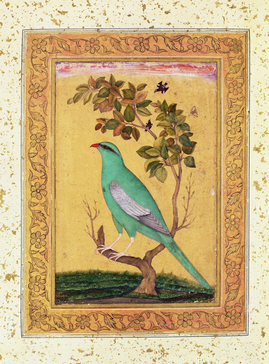 Green Bird, Mughal by Indian School