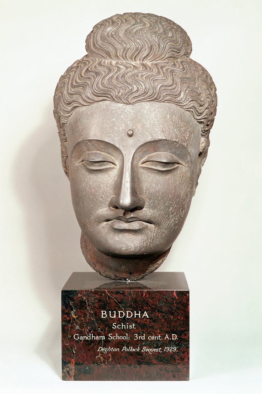 Head from a statue of the Buddha, from Gandhara, north-west India by Indian School