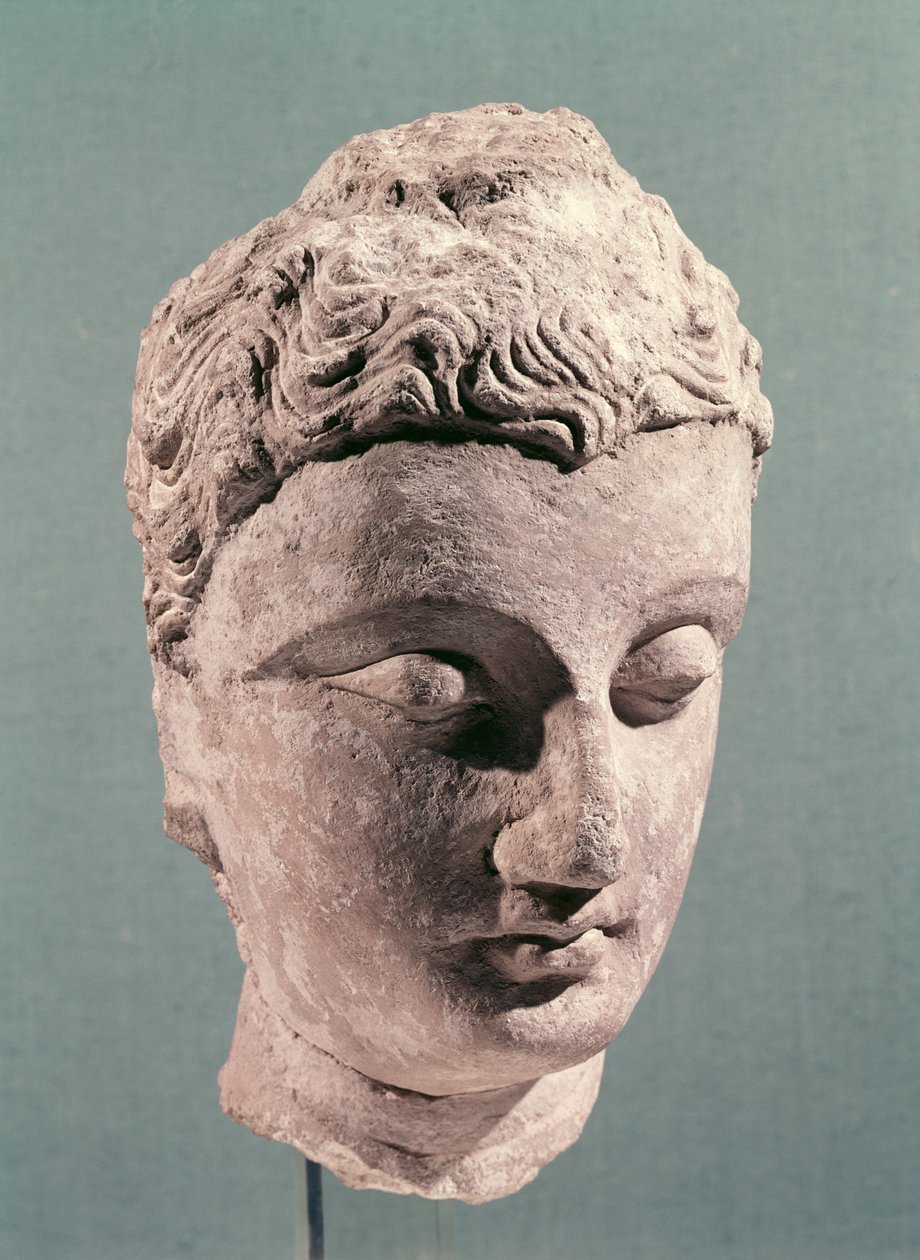 Head of Buddha, Gandhara, 2nd-4th Century by Indian School