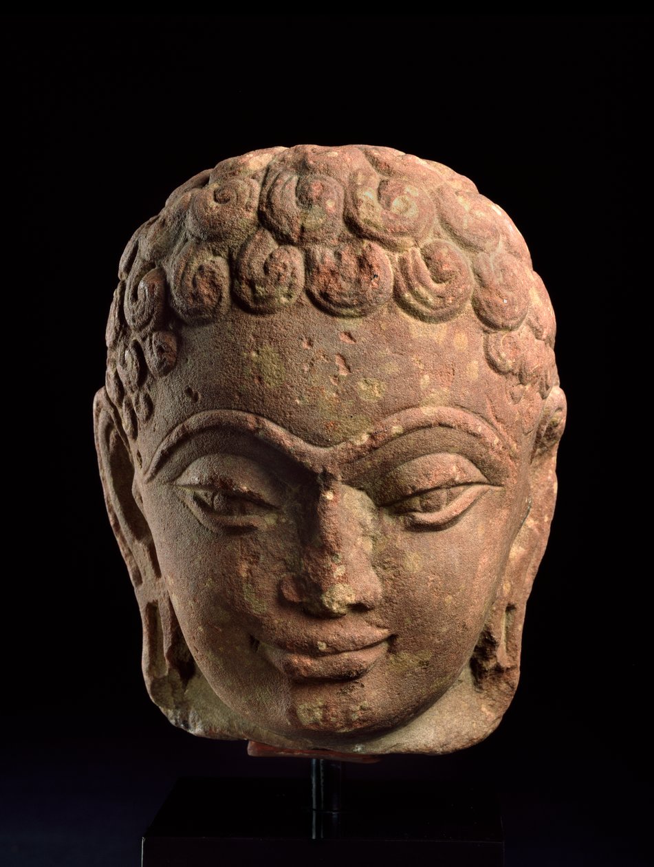 Head of a Jain Tirthankara, Mathura Region, Kushan period, 3rd-4th century AD by Indian School