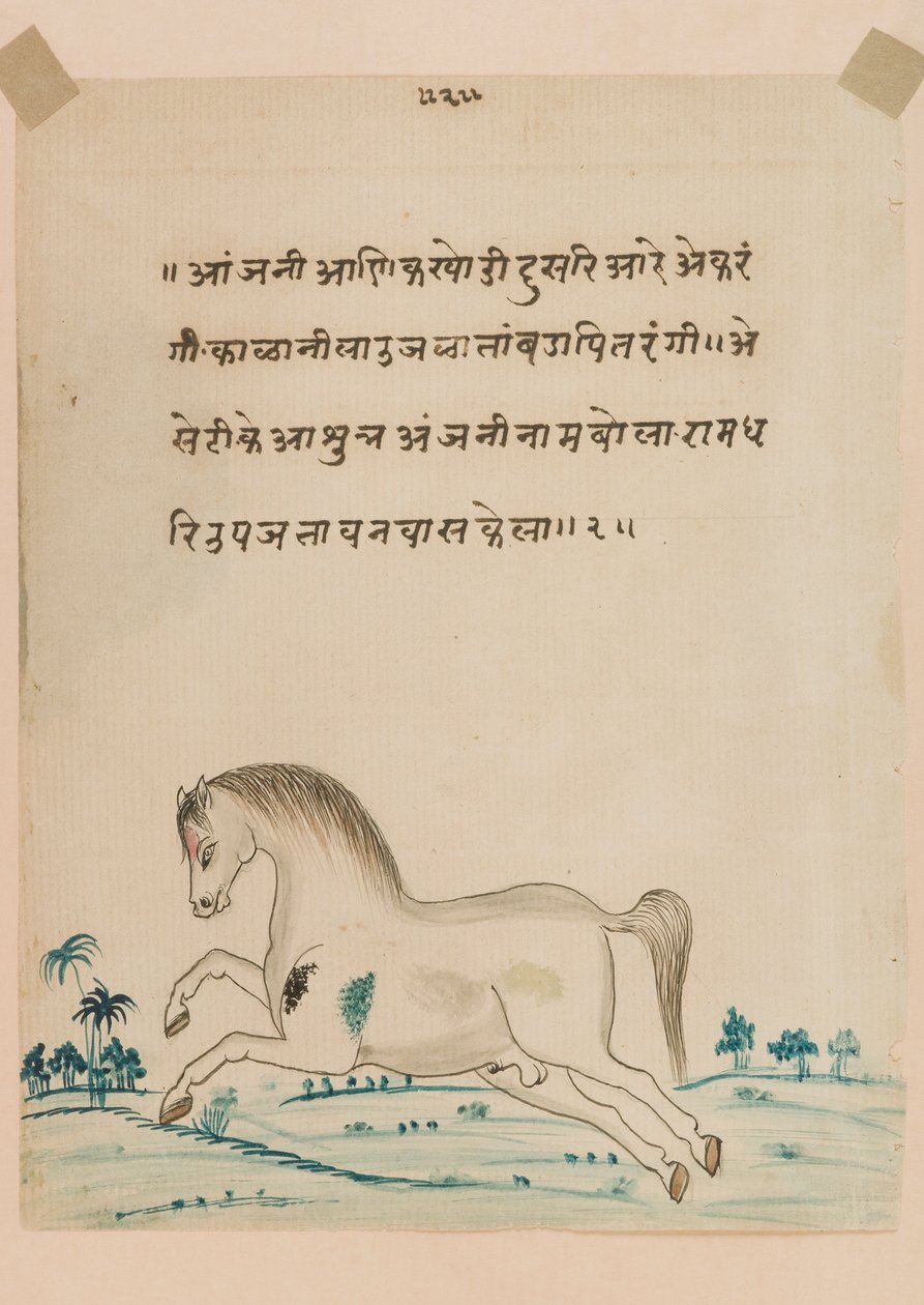 Horse by Indian School