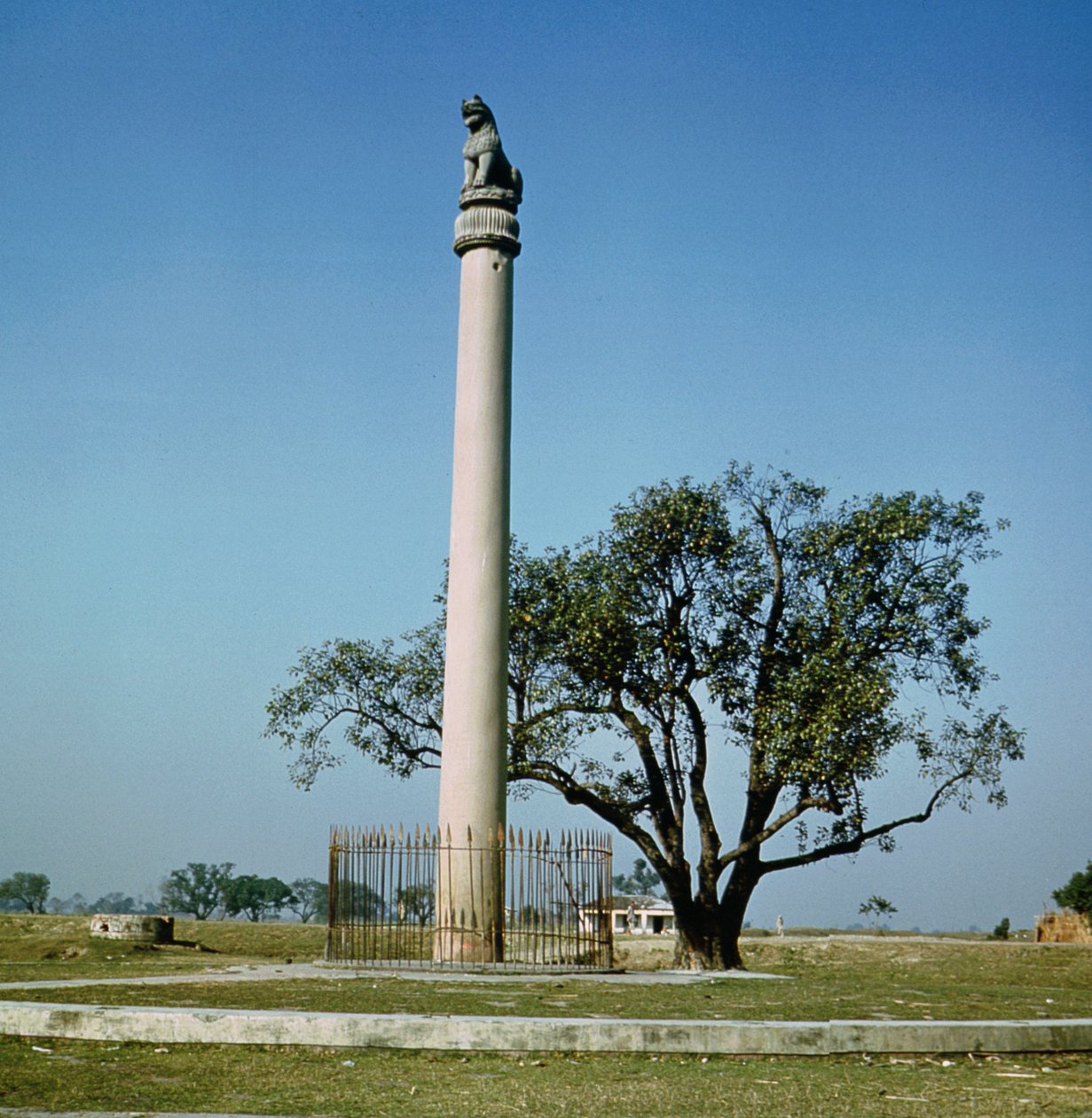 Lion Pillar of Emperor Ashoka by Indian School