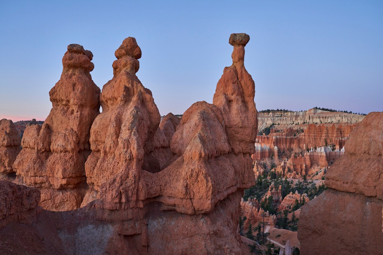 A landscape at Bryce Canyon National Park, Utah, 2020 by Ira Block