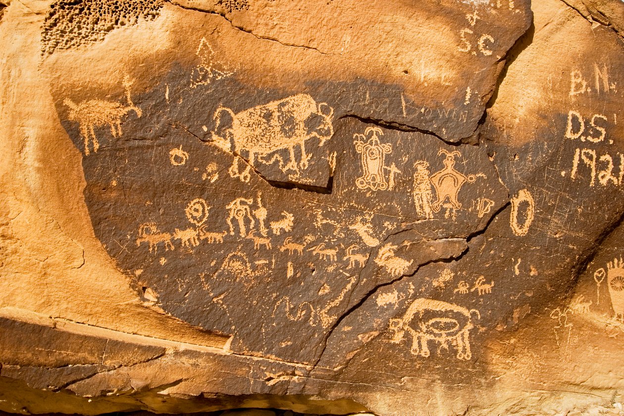 A petroglyph on a boulder with a bison and another pregnant bison at Willow Bend on..., 2005 by Ira Block