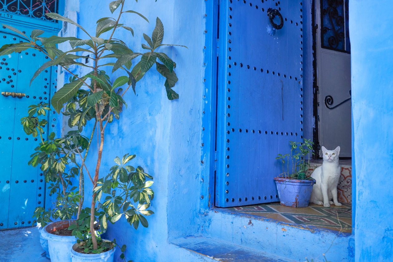 A street scene in Chefchaouen, the blue city of Morocco (photo) by Ira Block