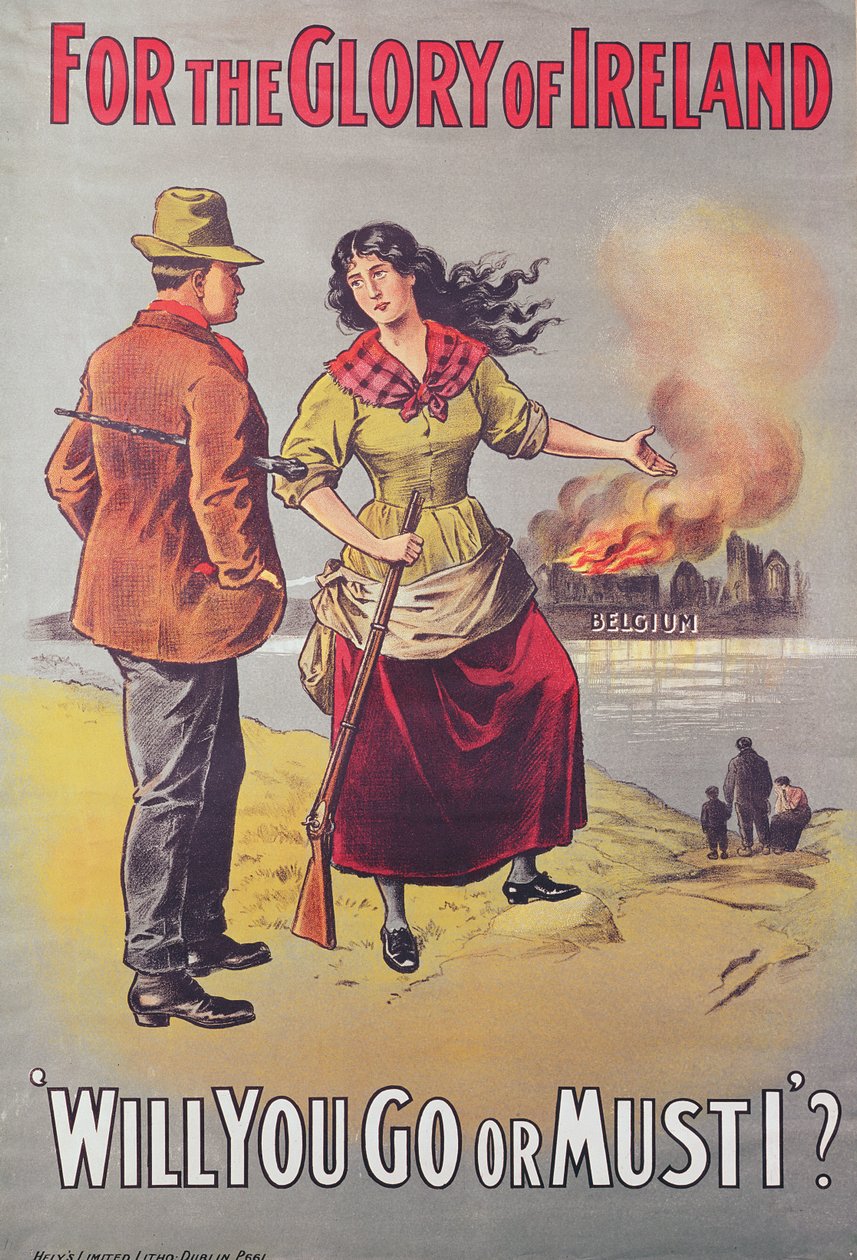 For the Glory of Ireland, 1866 by Irish School